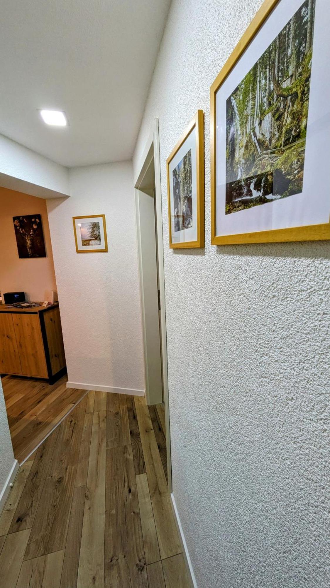 Ferienwohnung Albbruck/Albert Экстерьер фото